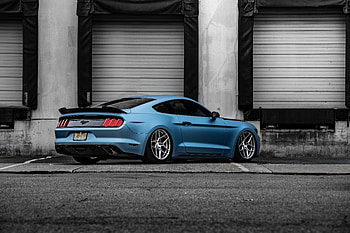 Ford Mustang GT RFX11, ford-mustang, mustang, cars, 2019-cars HD wallpaper