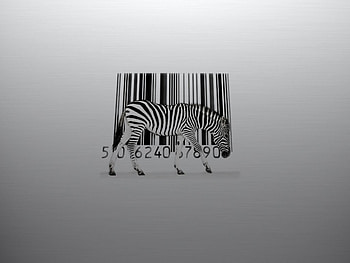 Bar code secret revealed.., of, code, bar, zebra, secret HD wallpaper