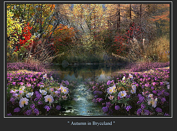AUTUMN IN WONDER LAND, nature, flowers, trees background, water HD wallpaper