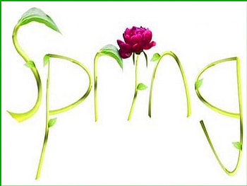 SIMPLY SPRING, rose, spring, frame, red HD wallpaper