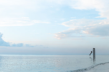 Sea, Horizon, Minimalism, Swing HD wallpaper