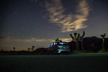 Palms, Cars, Seclusion, Privacy, Car, Starry Sky, Human, Person, Loneliness HD wallpaper