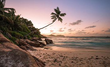 Weekend, amazing, place, beach HD wallpaper