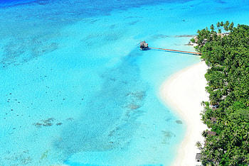 Nature, Palms, View From Above, Ocean, Relaxation, Rest, Tropics, Paradise HD wallpaper