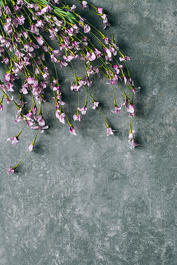 Flowers, Violet, Bouquet, Field, Purple HD phone wallpaper