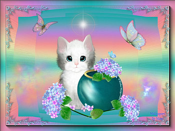 Innocence, butterflies, butterfly, animals, cats, kittens HD wallpaper