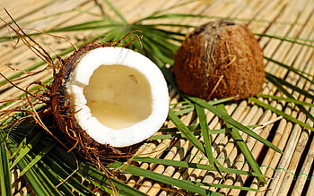 Coconut, Natural beauty, Refreshing drink, Tropical scenery HD wallpaper