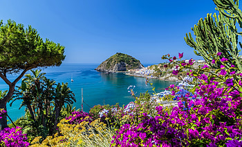 Volcanic Island In The Gulf Of Naples, Italy, rocks, island, sea, coast, gulf, beautiful, Italy, beach, Naples, summer, view, volcano, flowers HD wallpaper