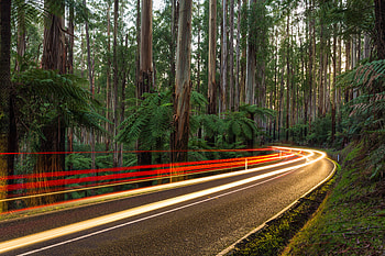 Light trails: Black Spur, a scenic road through the Yarra Ranges National Park, Australia, graphy, time lapse HD wallpaper