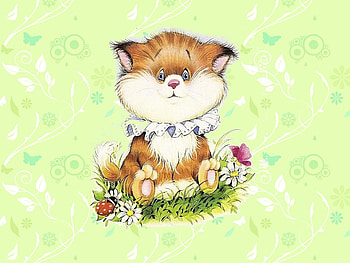 Cute kitten with flower, kitten, cute, cat, collage HD wallpaper