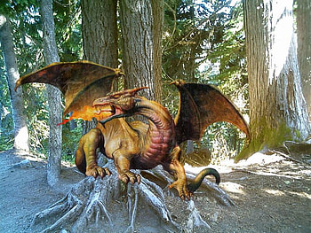 Checking it Out, dragon, forest HD wallpaper
