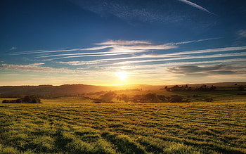 Landscape, Sunset, Fields HD wallpaper