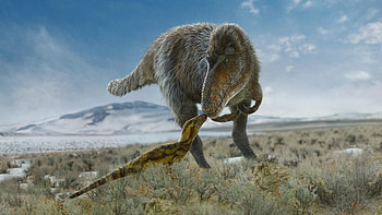 Prehistoric Planet — : Giant Sloth vs Serpent, Prehistoric Planet HD wallpaper