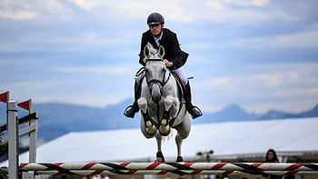 Horse jumping beauty, Striking horse leaps, Graceful equestrian sport, Dynamic horse movement HD wallpaper