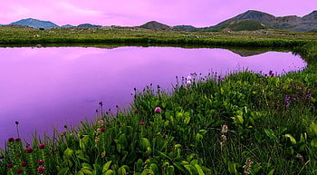 fairy lake, sky, flowers, lake, scenic HD wallpaper