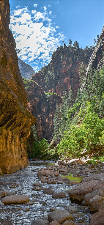 Zion National Park, , Best, U HD phone wallpaper
