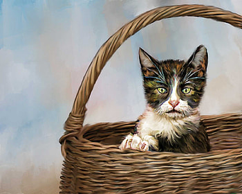 Cat in Basket, animal, basket, paint, cat HD wallpaper