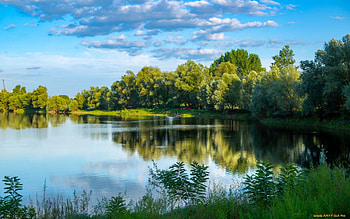 Lake, trees, nature, reflection HD wallpaper