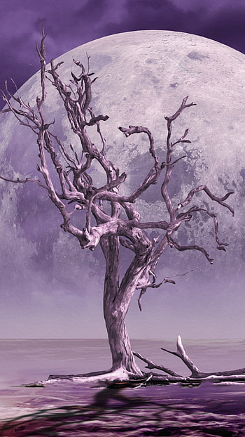 Trending Moon, Tree, Moon Fantasy HD phone wallpaper