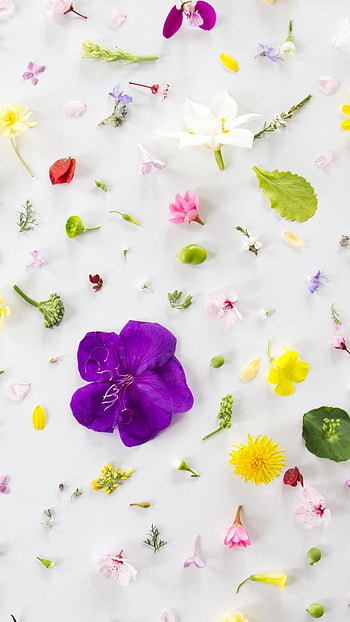 Cute Summer, Flower Pattern HD phone wallpaper
