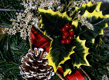 Holidays, Cones, Decorations, Berries, Holiday, Needles HD wallpaper