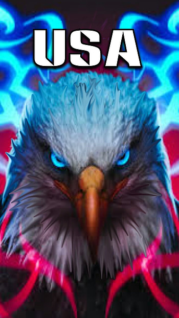 Patriot, USA, proud, eagle, american, military, america HD phone wallpaper