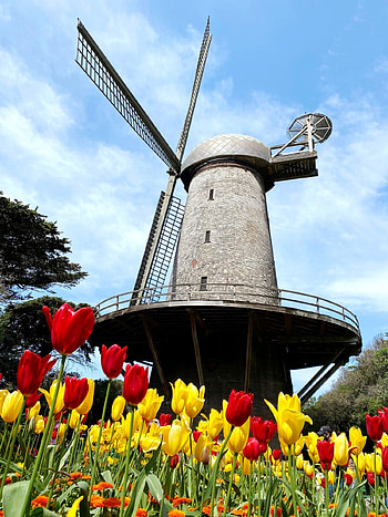 Golden Gate Park, Things to do, Favorite spots, Complete guide HD phone wallpaper