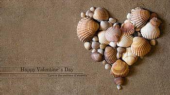 *** Love is the emblem of eternity ***, valentines, day, shels, love, heart HD wallpaper