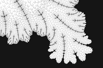 Abstract Leaf Tree Pattern, abstract, leaf, black-and-white, behance HD wallpaper