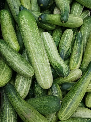 A close-up of fresh green cucumbers piled together, showcasing texture and healthiness. HD phone wallpaper