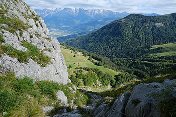 Landscape, Nature, Trees, Mountains, Greens HD wallpaper