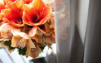 Beautiful Flowers, flowers, orange, bloom, petals HD wallpaper