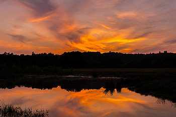 Nature, Rivers, Sunset, Grass, Bush, Reflection, Silhouette HD wallpaper