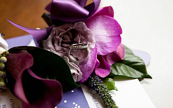 Beautiful Flowers, leaves, ring, petals, flowers, bloom HD wallpaper