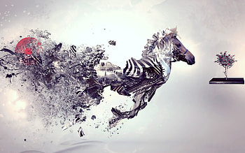Zebra Abstract Art, abstract, artist, digital-art, zebra, animals HD wallpaper