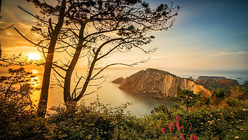 The Bay of Biscay, Spain, rocks, sunset, coast, trees, landscape, flowers, sky HD wallpaper