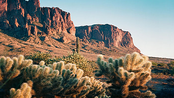 Superstition Mountains, Arizona, rocks, joshua, trees, landscape, sky, usa HD wallpaper
