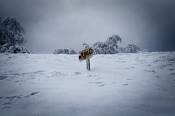 Winter, Nature, Snow, Pointer, Drifts HD wallpaper