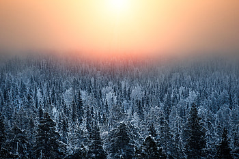 Landscape, Winter, Nature, Sunset, Snow, Forest, Haze HD wallpaper