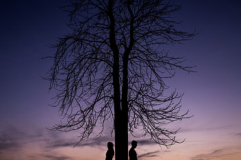 Love, Wood, Couple, Pair, Tree, Silhouettes HD wallpaper
