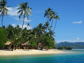 Nature, Sand, Palms, Summer, Shore, Bank HD wallpaper