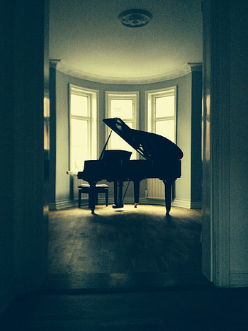Musical elegance, Soulful instrument, Captivating ry, Harmonious compositions HD phone wallpaper