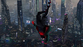 Spider Man Into The Spider Verse Live Live , Spiderman Upside Down HD wallpaper