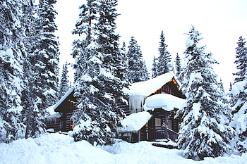 Winter, Nature, Snow, Forest, House HD wallpaper