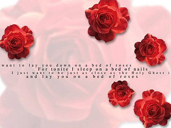 Bed of Roses, red roses, bon jovi, music, lyrics HD wallpaper