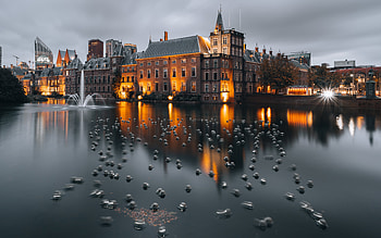 The Hague, canal, night graphy, water, the hahue HD wallpaper
