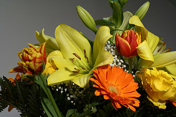 Flower ensemble, Lovely blossoms, Delicate display, Beautiful bouquet HD wallpaper