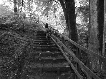 come on keep up, steps, trees, girl, nature HD wallpaper