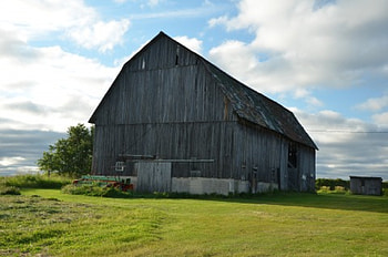 Old Barn, farms, barns, country, michigan HD wallpaper
