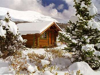 Nature, Trees, Snow, Bush, Canada, Fir, Spruce, Small House, Lodge, British Columbia HD wallpaper